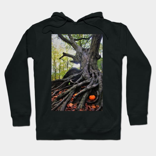 Incredible Roots Hoodie by VHS Photography